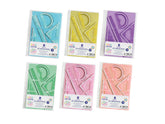 SET 4 REGLAS PASTEL CON FUNDA PORTADORA MULTITALADRO | 1 UNIDADES | (POESSA BISMARK BASICO)
